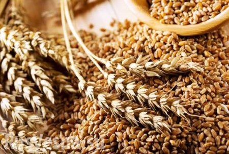 В США признали, что РФ сохранит за собой мировое лидерство в экспорте пшеницы