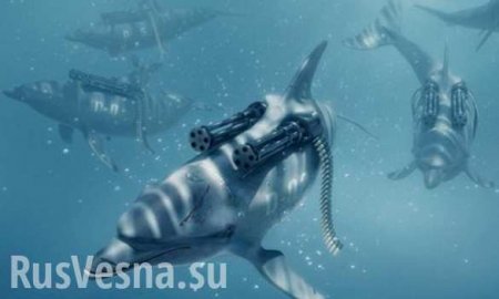 Украинские боевые дельфины-патриоты отказались подчиняться русским и погибли, — постпред Порошенко