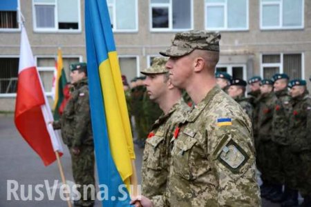 Европа спешно создаёт армию — проигравшими назначены Украина и Польша