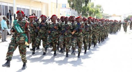 Чем богаты: парад в честь 27-летия независимости Сомалиленда