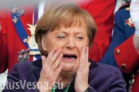 «Альтернатива для Германии» подала на Меркель в суд
