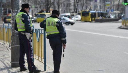 И бил её жезлом: под Киевом полицейский бегал по кругу за машиной нарушителя