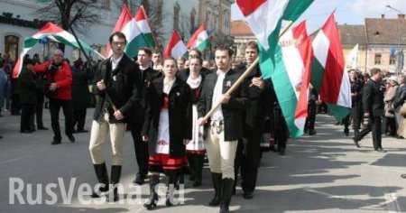 Венгрия просит НАТО защитить венгров на Украине (ФОТО)
