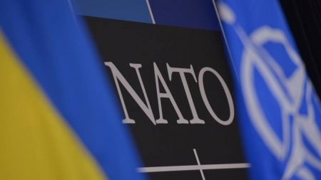 Венгрия просит НАТО защитить венгров на Украине (ФОТО)