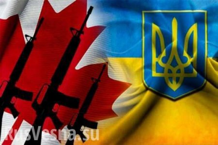 В Канаде призывают передать Украине оружие, предназначенное для курдов
