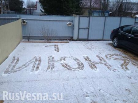 Здравствуй, лето: Россию неожиданно засыпало снегом (ФОТО, ВИДЕО)
