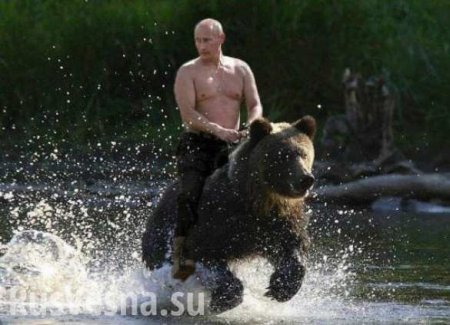 Путин прокомментировал свои фотографии «в полуголом виде»