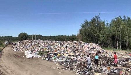 «Вонь на километры, дети болеют»: на одной из улиц Львова скопилось 2500 тонн мусора