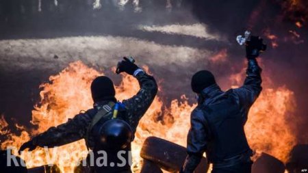 Неонацисты готовились заживо сжечь Януковича, — экс-глава службы безопасности