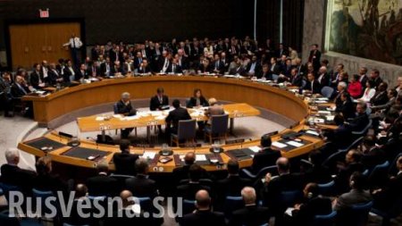 В Совфеде рассказали о перспективах иска, поданного Украиной в ООН против России