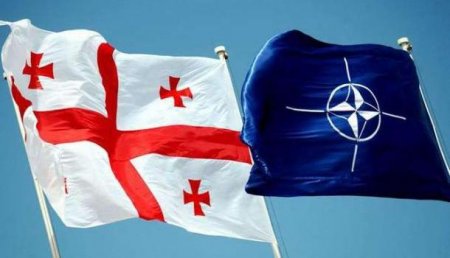 Тбилиси — НАТО: Куда идёт Грузия