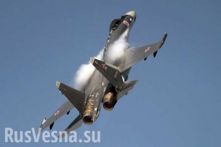 В США рассказали, как Су-35 может сбить F-22 (ФОТО)