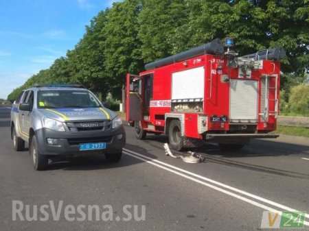Автобус Нацгвардии Украины протаранил внедорожник (ФОТО)