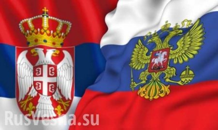 «Россия! Россия!» — как сербские футболисты болели за сборную РФ (ВИДЕО)