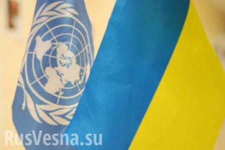 Украина вслед за США заявила о кризисе с правами человека в ООН