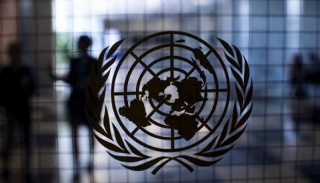 Украина поддерживает решение США выйти из Совета ООН по правам человека