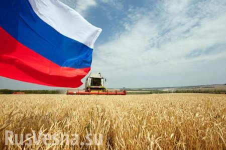 Le Monde: Россия уже выиграла ЧМ-2018 — по поставкам пшеницы