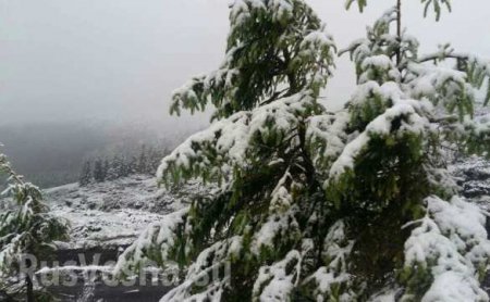 Карпаты засыпало снегом: экстренно эвакуирован детский лагерь (ФОТО)
