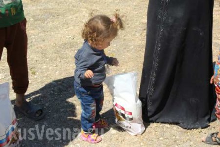 Сирия: Бедуины устроили праздник из-за приезда конвоя Минобороны России (ФОТО, ВИДЕО)