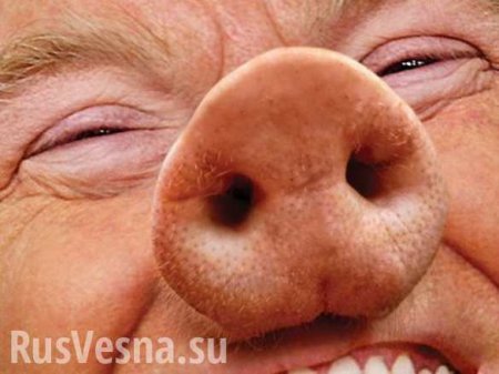 Трамп: «Мы не мировая свинья»