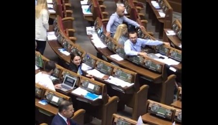 Гей, клоун, козёл и придурок: появилось полное видео перепалки депутатов Порошенко с радикалом Ляшко 18+