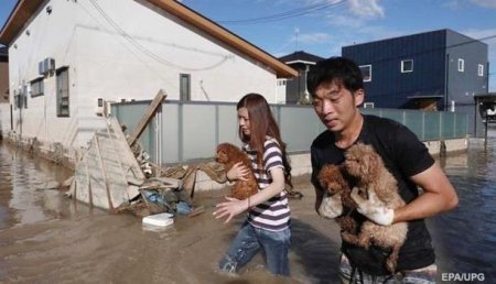 Число жертв стихии в Японии превысило 80 человек