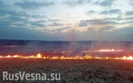 Каратели обстреливают Донбасс зажигательными минами: сводка о военной ситуации в ДНР