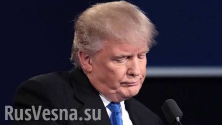 Трамп готовится убегать от Путина через Эстонию