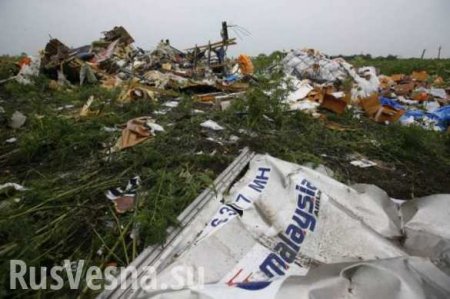 «Украина должна была закрыть воздушное пространство». Годовщина крушения MH17 (ФОТО)