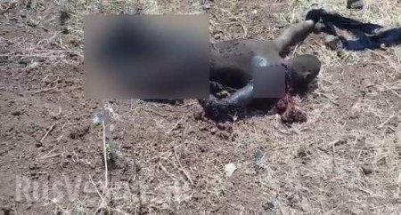 СРОЧНО: Пилот сирийского истребителя, сбитого Израилем, погиб — страшные кадры (ФОТО, ВИДЕО 18+)