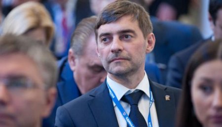 Сергей Железняк подал в отставку с поста в «Единой России»