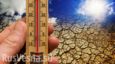 Ученые рассказали о трагических последствиях аномальной жары, которая накроет Землю