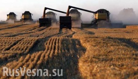 Правительство выделит аграриям 5 млрд рублей на покупку топлива