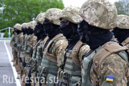 «Мнимые победы»: что стоит за заявлением Украины о «взятии под контроль» 15 кв. км территории Донбасса (ФОТО)