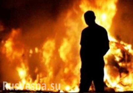 Под Одессой сожгли виноградники французского инвестора (ФОТО)