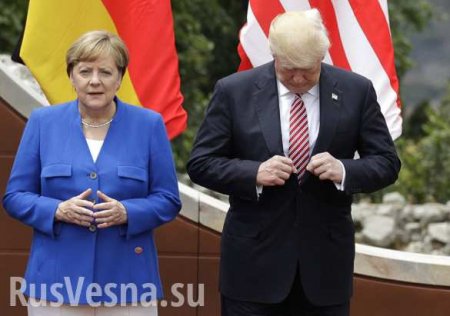 Трамп и Меркель сделали совместное заявление по Украине и Идлибу