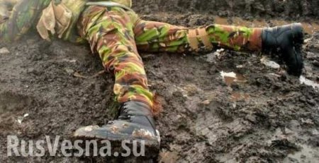 На Донбассе погиб военный ВСУ из-под Львова