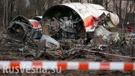 Берёза-диверсант? Польские следователи снова изучают обломки разбившегося в Смоленске самолёта Качиньского (ФОТО)