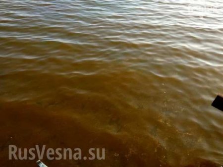В Одессе море покрылось маслянистой плёнкой (ФОТО, ВИДЕО)