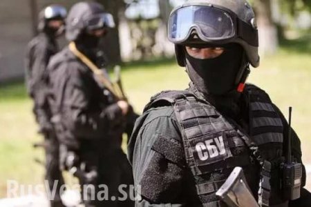 Украинские диверсанты переброшены на границу с Крымом, — МГБ ЛНР