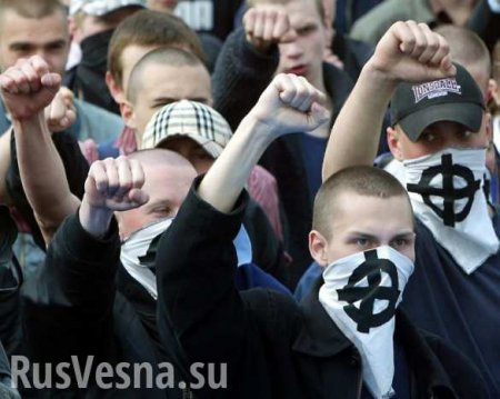 Фашистские университеты: Как пропагандируют неонацизм на Кубани (ФОТО)