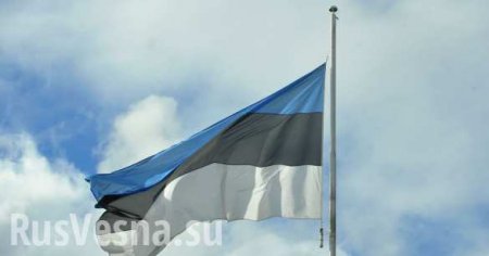 «Атака на права человека»: как власти Эстонии ограничивают использование русского языка (ФОТО)