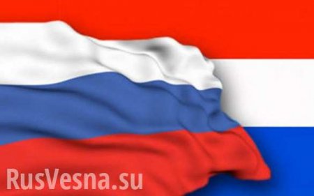 Россия передала Нидерландам новые материалы по расследованию катастрофы «Боинга» MH17