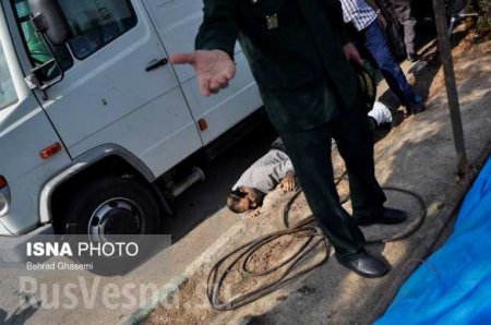 Кровавый теракт на военном параде в Иране: десятки погибших и раненых (ФОТО, ВИДЕО)