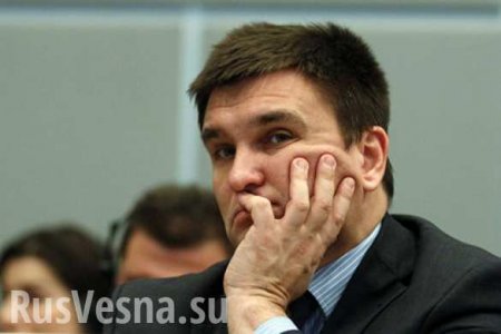 В Раде призвали Порошенко отправить в отставку Климкина за слова о Закарпатье