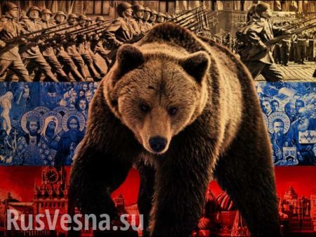 Русские медведи, гордые пшеки и тупые рогули