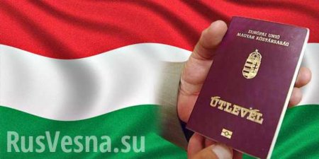 Венгр Украине не уступит: информация из Закарпатья (ФОТО)