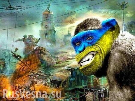 «Уничтожили гимном»: как украинские депутаты «потроллили» российскую журналистку (ВИДЕО)