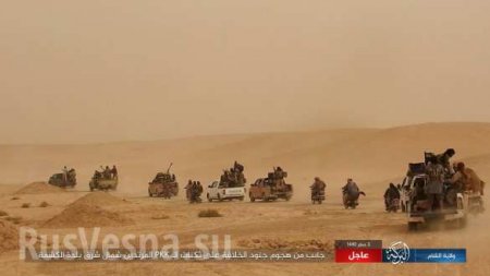 ИГИЛ наносит удары в Ракке и Дейр Зоре: уничтожены военные США и американская бронетехника (+ФОТО, ВИДЕО)