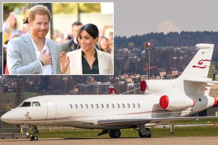 30 млн вольт: молния ударила в самолёт принца Гарри и его жены (ФОТО)